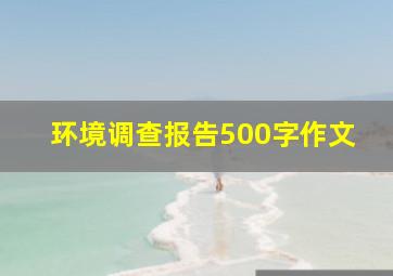 环境调查报告500字作文