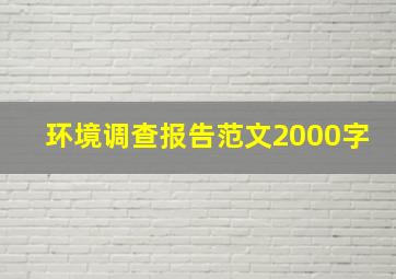 环境调查报告范文2000字