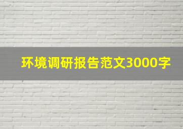 环境调研报告范文3000字