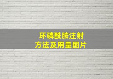 环磷酰胺注射方法及用量图片