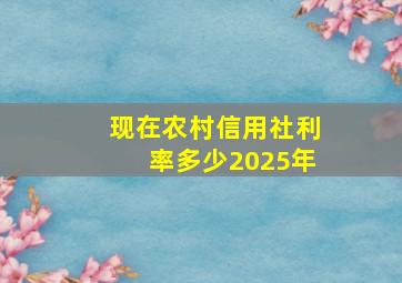 现在农村信用社利率多少2025年