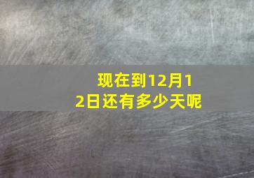 现在到12月12日还有多少天呢