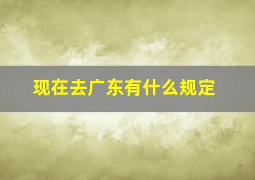 现在去广东有什么规定