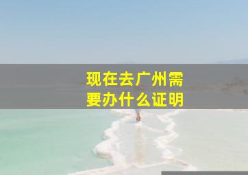 现在去广州需要办什么证明