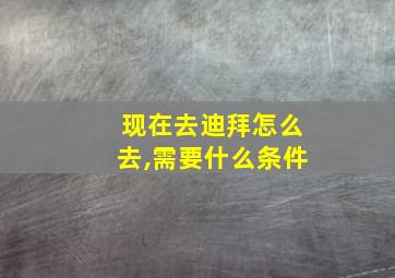 现在去迪拜怎么去,需要什么条件