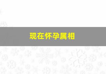 现在怀孕属相