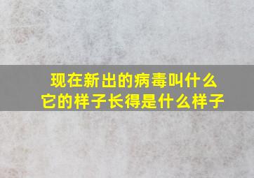 现在新出的病毒叫什么它的样子长得是什么样子