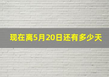 现在离5月20日还有多少天