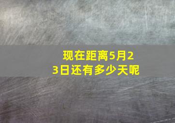 现在距离5月23日还有多少天呢