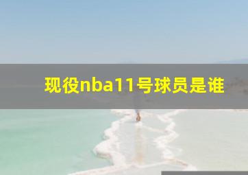 现役nba11号球员是谁