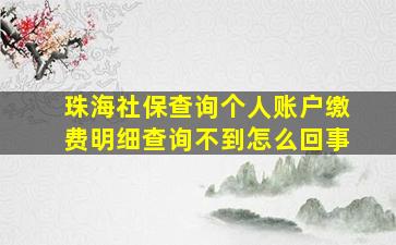 珠海社保查询个人账户缴费明细查询不到怎么回事