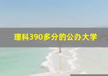 理科390多分的公办大学