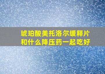 琥珀酸美托洛尔缓释片和什么降压药一起吃好