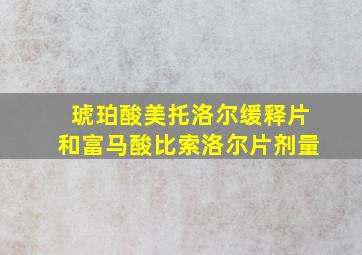 琥珀酸美托洛尔缓释片和富马酸比索洛尔片剂量