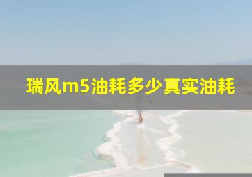 瑞风m5油耗多少真实油耗