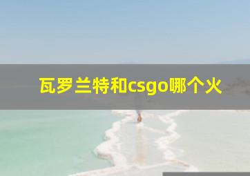 瓦罗兰特和csgo哪个火