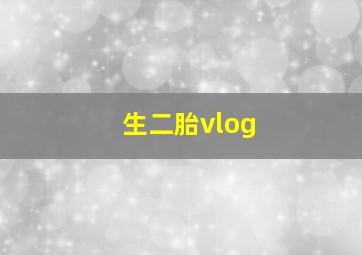 生二胎vlog