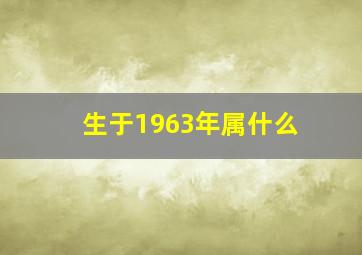 生于1963年属什么