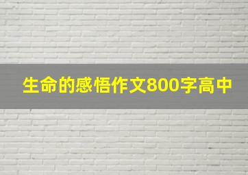 生命的感悟作文800字高中