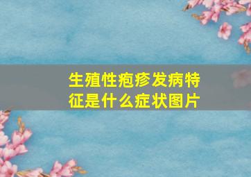 生殖性疱疹发病特征是什么症状图片