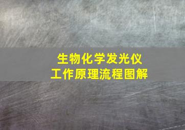 生物化学发光仪工作原理流程图解