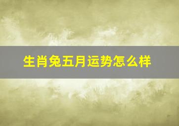 生肖兔五月运势怎么样