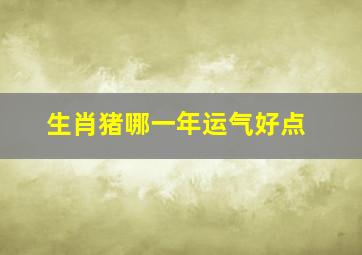 生肖猪哪一年运气好点