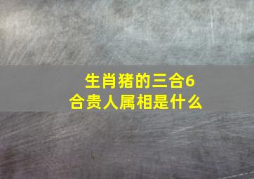 生肖猪的三合6合贵人属相是什么