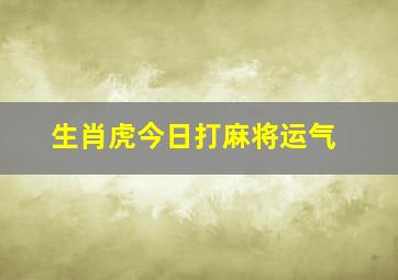 生肖虎今日打麻将运气