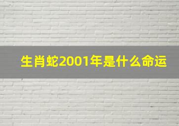 生肖蛇2001年是什么命运