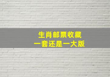 生肖邮票收藏一套还是一大版