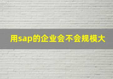 用sap的企业会不会规模大