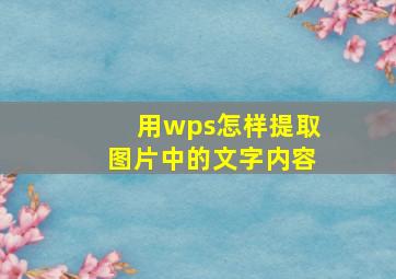 用wps怎样提取图片中的文字内容