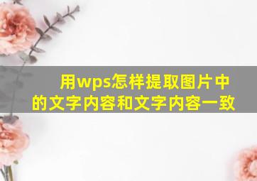 用wps怎样提取图片中的文字内容和文字内容一致