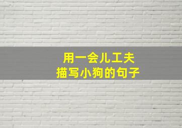 用一会儿工夫描写小狗的句子