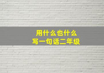 用什么也什么写一句话二年级