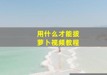 用什么才能拔萝卜视频教程