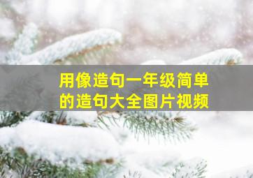 用像造句一年级简单的造句大全图片视频