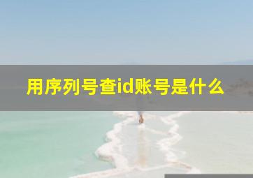 用序列号查id账号是什么