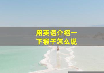 用英语介绍一下猴子怎么说