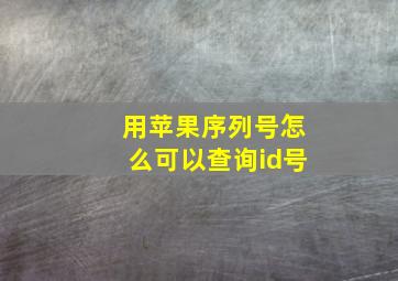 用苹果序列号怎么可以查询id号