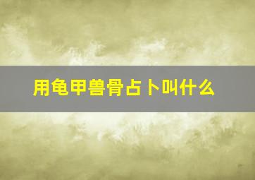 用龟甲兽骨占卜叫什么