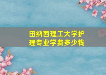 田纳西理工大学护理专业学费多少钱