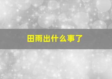 田雨出什么事了