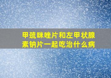 甲巯咪唑片和左甲状腺素钠片一起吃治什么病