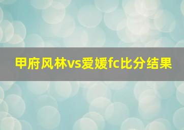 甲府风林vs爱媛fc比分结果