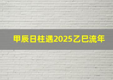 甲辰日柱遇2025乙巳流年