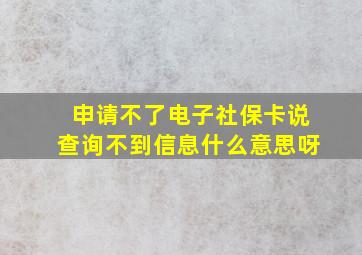 申请不了电子社保卡说查询不到信息什么意思呀