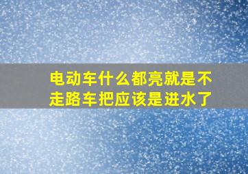 电动车什么都亮就是不走路车把应该是进水了