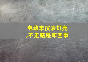 电动车仪表灯亮,不走路是咋回事